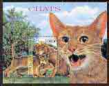 Congo 1999 Domestic Cats perf m/sheet unmounted mint