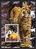 Djibouti 2004 Cats #2 (Domestic & Big cats) perf m/sheet, fine cto used