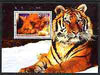 Djibouti 2004 Cats #4 (Domestic & Big cats) perf m/sheet, fine cto used