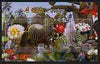 North Korea 2004 Cacti perf sheetlet containing set of 4 values cto used