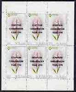 St Kilda 1970 Flowers 2s6d (Heath Spotted Orchid) with 'European Conservation Year' opt complete perf sheetlet of 6 - Two stamps with 1790 error, unmounted mint