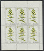 St Kilda 1970 Flowers 1s9d (Yellow Rattle) complete perf sheetlet of 6 unmounted mint