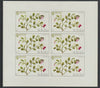 St Kilda 1969 Flowers 1s (Cow Berry) complete imperf sheetlet of 6 unmounted mint