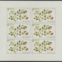 St Kilda 1969 Flowers 1s (Cow Berry) complete imperf sheetlet of 6 unmounted mint