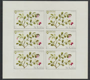 St Kilda 1969 Flowers 1s (Cow Berry) complete imperf sheetlet of 6 unmounted mint