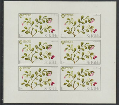 St Kilda 1969 Flowers 1s (Cow Berry) complete imperf sheetlet of 6 unmounted mint