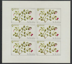 St Kilda 1969 Flowers 1s (Cow Berry) complete imperf sheetlet of 6 unmounted mint