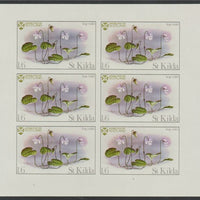 St Kilda 1970 Flowers 1s6d (Bog Violet) complete imperf sheetlet of 6 unmounted mint