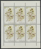 St Kilda 1969 Flowers 2s (Least Willow) complete perf sheetlet of 6 unmounted mint