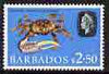 Barbados 1965 Fiddler Crab $2.50 (wmk block CA) unmounted mint, SG 335*