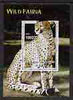 Congo 2005 Wild Fauna (Cheetah) perf m/sheet unmounted mint