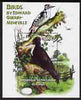 Congo 2005 Birds by Guerin-Meneville (Woodpeckers) perf m/sheet unmounted mint