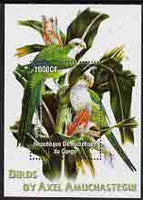 Congo 2005 Birds by Axel Amuchastegui (Parrots) perf m/sheet unmounted mint