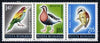 Rumania 1973 the 3 bird values from Protection of Nature set unmounted mint, SG 3979-81