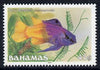 Bahamas 1987 Royal Gramma 45c (1987 imprint date) unmounted mint, SG 795