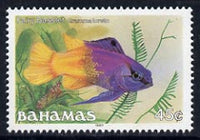 Bahamas 1987 Royal Gramma 45c (1987 imprint date) unmounted mint, SG 795