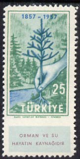 Turkey 1957 Forestry 25k imperf between stamp and label