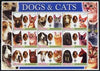 Afghanistan 2003 Dogs & Cats #1 perf sheetlet containing set of 9 values each with Scout Logo unmounted mint