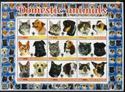 Somalia 2005 Domestic Animals #1 (Cats & Dogs) perf sheetlet containing 9 values unmounted mint