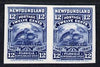 Newfoundland 1897 Willow Grouse 12c blue IMPERF plate proof pair on thin card (from 400th Anniversary set) ex ABNCo archives (as SG 74)