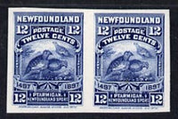 Newfoundland 1897 Willow Grouse 12c blue IMPERF plate proof pair on thin card (from 400th Anniversary set) ex ABNCo archives (as SG 74)