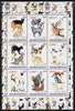 Afghanistan 2000 Domestic cats #2 perf sheetlet containing set of 9 values unmounted mint