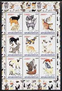 Afghanistan 2000 Domestic cats #2 perf sheetlet containing set of 9 values unmounted mint