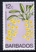 Barbados 1975-79 Dendrobium aggregatum 12c Orchid unmounted mint SG 516