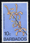 Barbados 1975-79 Arachnis maggie oei 10c Orchid unmounted mint SG 515