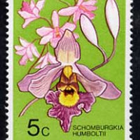 Barbados 1975-79 Schomburgkia humboltii 5c Orchid unmounted mint SG 514