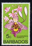 Barbados 1975-79 Schomburgkia humboltii 5c Orchid unmounted mint SG 514