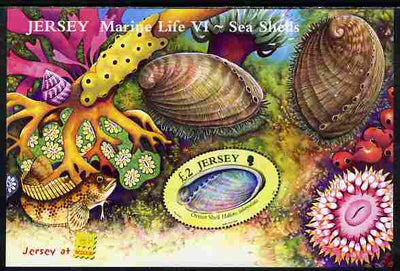 Jersey 2006 Marine Life #6 - Shells perf m/sheet with Jersey at Belgica imprint unmounted mint SG MS 1270a