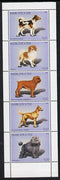 Bashkortostan 1999 Dogs perf sheetlet containing set of 5 values unmounted mint