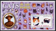 Somalia 2002 Domestic Cats of the World perf s/sheet #06 with Scout Logo & Baden Powell in background, unmounted mint