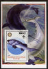Congo 2005 Dinosaurs #02 - Coccosteus perf m/sheet with Scout & Rotary Logos, background shows various Fish fine cto used