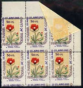 Cinderella - Spain 1962 50c perforated label for Madrid International Stamp Exhibition featuring Poppy, unmounted mint block of 6 with black & green shifted & perfs misplaced, with corner fold showing background colour printed on gummed side