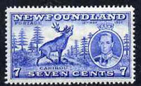 Newfoundland 1937 KG6 Coronation 7c Reindeer line perf 14 unmounted mint, SG 259