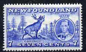 Newfoundland 1937 KG6 Coronation 7c Reindeer line perf 14 unmounted mint, SG 259