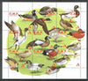 Dnister Moldavian Republic (NMP) 1999 Ducks perf sheetlet containing set of 9 values unmounted mint