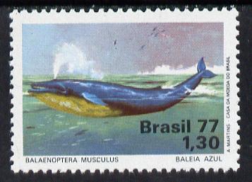 Brazil 1977 Blue Whale unmounted mint, SG 1663*