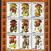 Turkmenistan 1999 Mushrooms of Asia #1 perf sheetlet containing set of 9 values with IBRA imprint unmounted mint