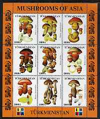 Turkmenistan 1999 Mushrooms of Asia #1 perf sheetlet containing set of 9 values with IBRA imprint unmounted mint