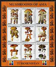 Turkmenistan 1999 Mushrooms of Asia #2 perf sheetlet containing set of 9 values with IBRA imprint unmounted mint