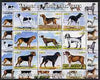Congo 2000 Rare Dogs of the World #2 perf sheetlet containing 9 values unmounted mint