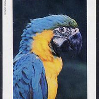 Eynhallow 1982 Parrots #03 imperf deluxe sheet (£2 value) unmounted mint