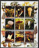 Mali 1998 Fungi perf sheetlet containing 9 values unmounted mint