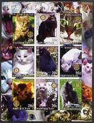 Kyrgyzstan 2004 Domestic Cats - Turkish Angora imperf sheetlet containing 9 values each with Rotary logo unmounted mint