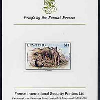 Lesotho 1984 Jackal Pups 1m (from Baby Animals issue) imperf proof mounted on Format International proof card, as SG 615