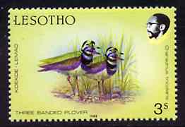 Lesotho 1988 Birds 3s Plover superb colour shift resulting in two birds unmounted mint,SG 792var* (see also #86567)