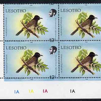 Lesotho 1988 Birds 12s Red-Eyed Bulbul with superb 2mm misplacement of horiz perfs SG 795var unmounted mint plate block of 4 from bottom of sheet showing perfs passing through value and additional date in lower margin